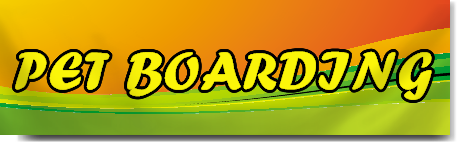 Pet Boarding Banner