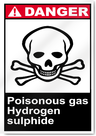 Poisonous Gas Hydrogen Sulphide Danger Signs