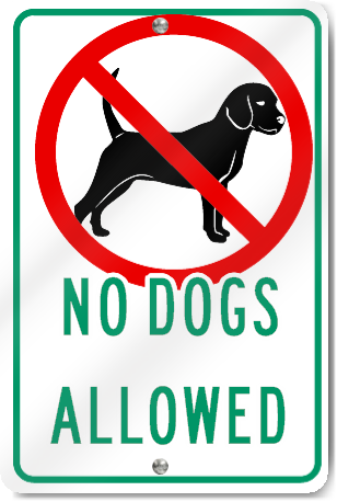 Were allowed правило. Allow перевод. Allowed. No Dogs allowed. Allow картинка.