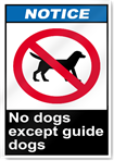 No Dogs Except Guide Dogs Notice Signs