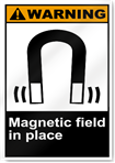 Magnetic Field In Place2 Warning Signs