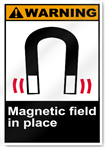 Magnetic Field In Place3 Warning Signs